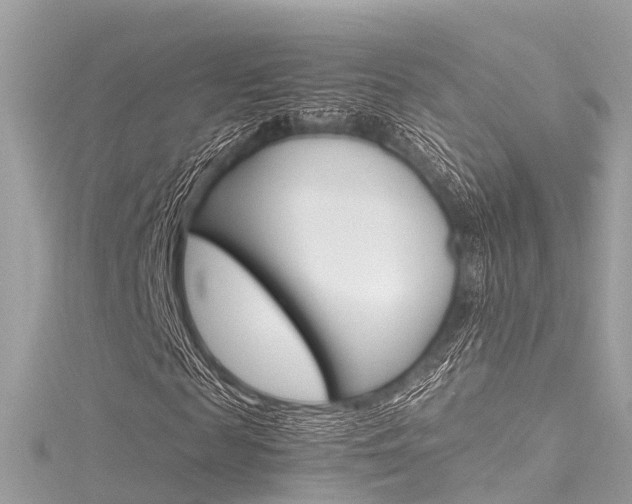 X0000116330817200912011003
