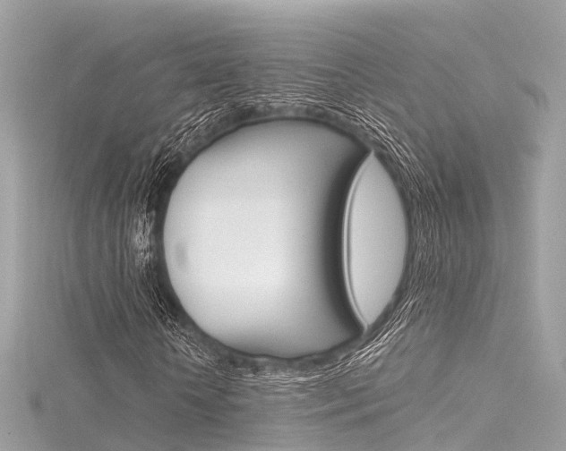 X0000116330818200912011003