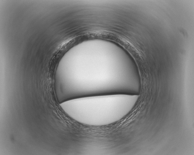 X0000116330822200912011003