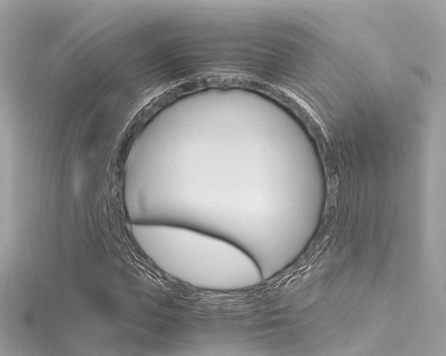 X0000116330823200912011003