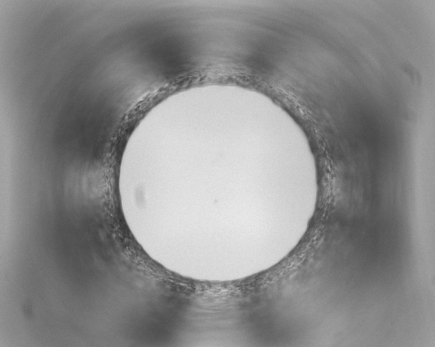 X0000116330824200912011003