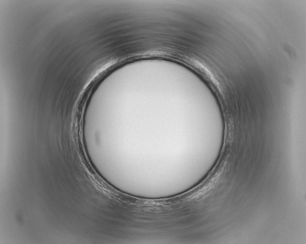 X0000116330827200912011003