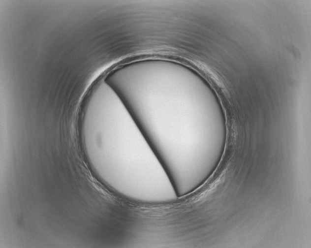 X0000116330830200912011003
