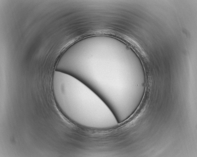 X0000116330841200912011003