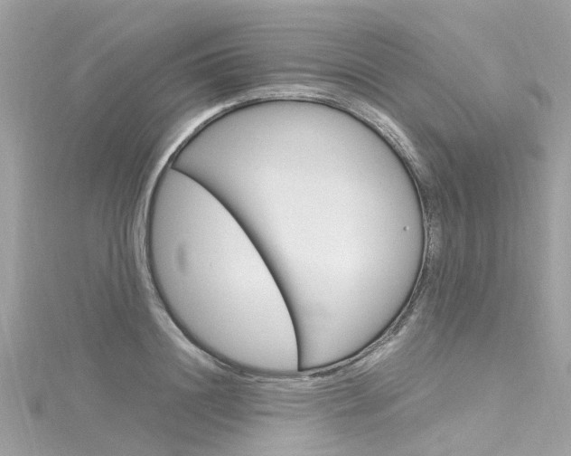 X0000116330844200912011003