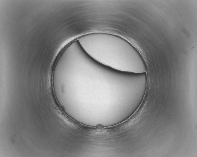 X0000116330846200912011003