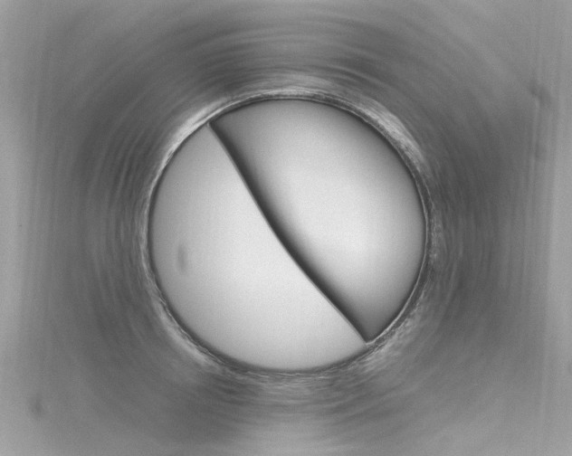 X0000116330850200912011003