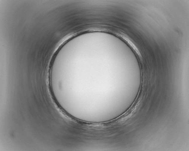 X0000116330853200912011003