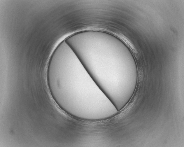 X0000116330854200912011003