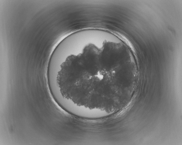 X0000116330855200912011003