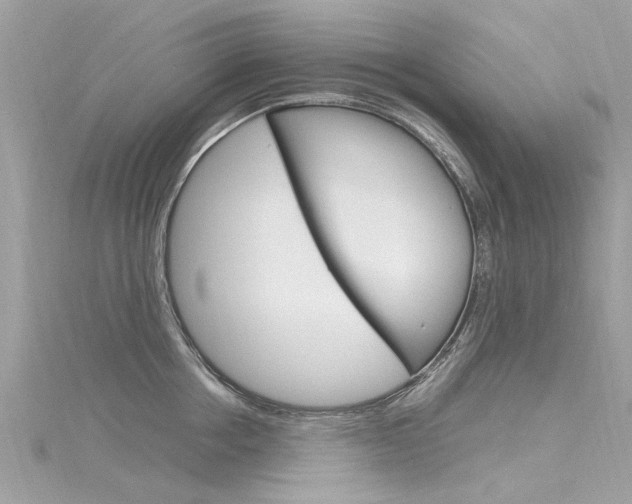 X0000116330858200912011004