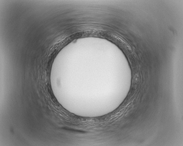 X0000116330869200912011003