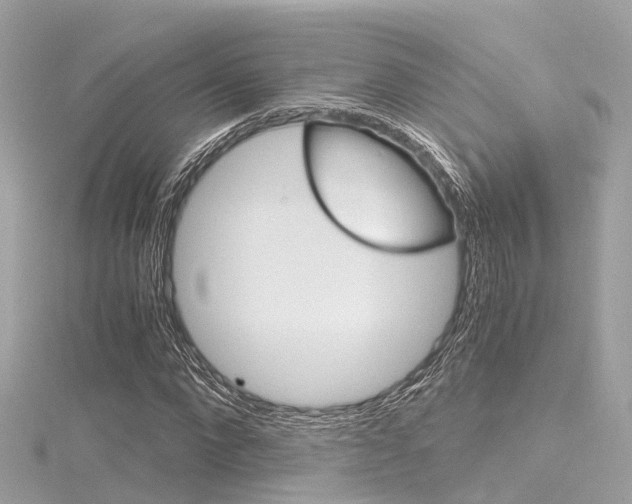X0000116330872200912011003
