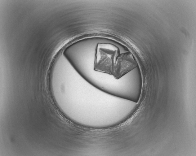 X0000116330877200912011003