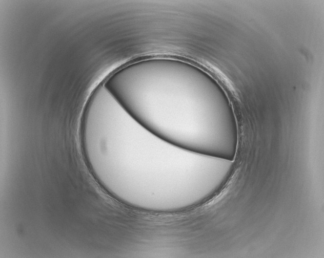 X0000116330885200912011003