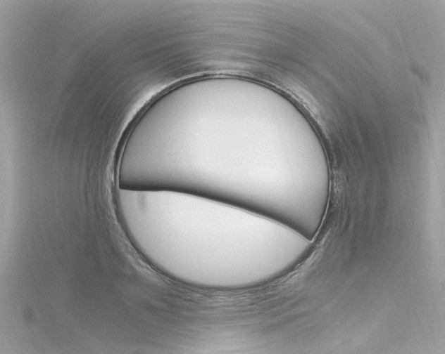 X0000116330891200912011002