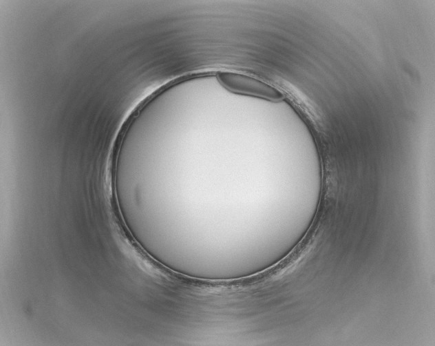 X0000116330892200912011002