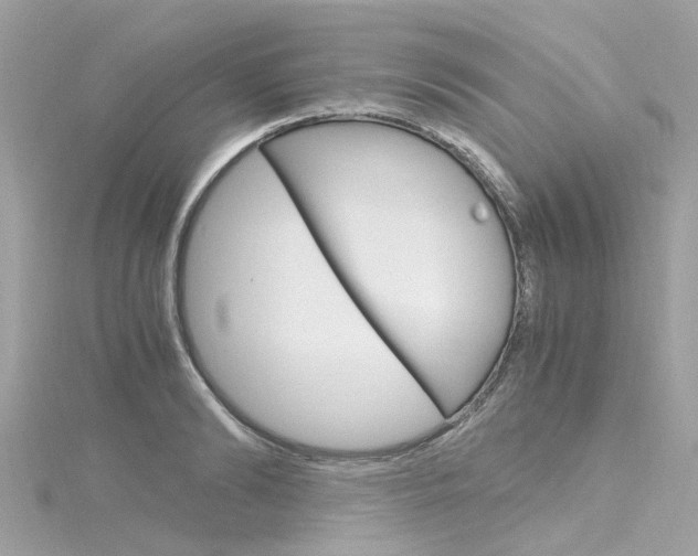X0000116330894200912011002