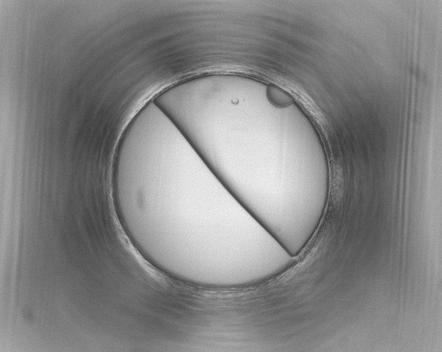X0000116330898200912011002