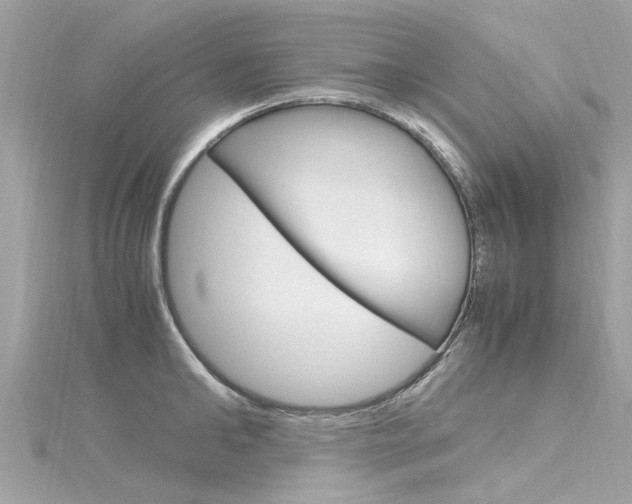 X0000116330902200912011002