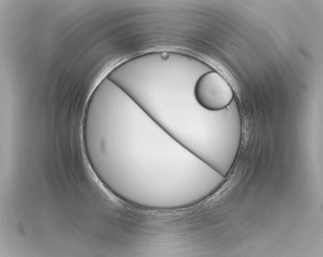 X0000116330906200912011002