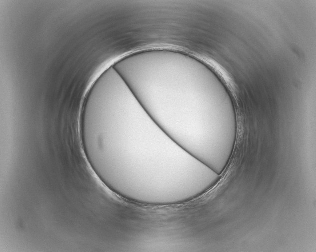 X0000116330910200912011002