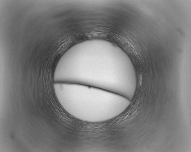 X0000116330915200912011002