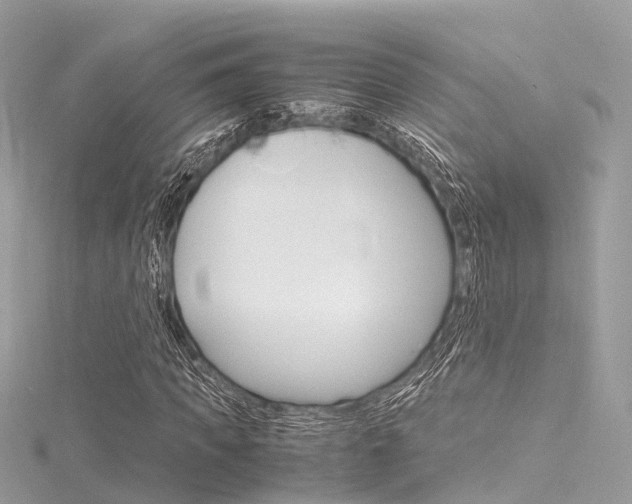 X0000116330917200912011002