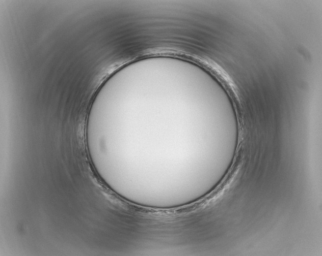 X0000116330937200912011002