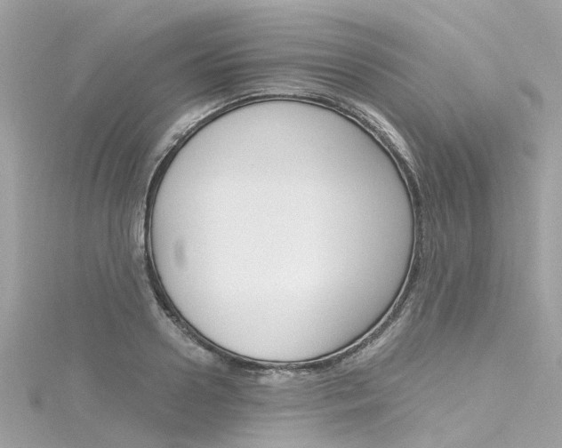 X0000116330938200912011002