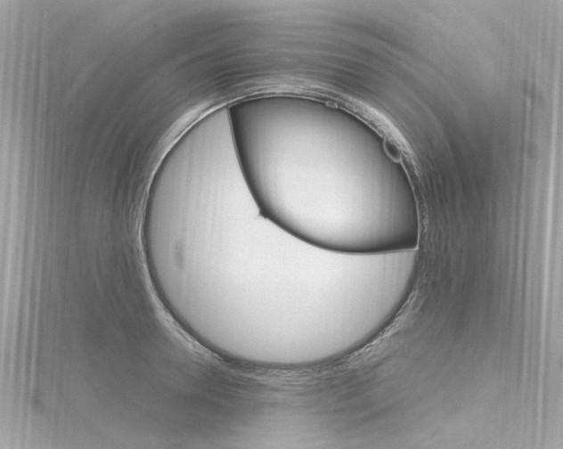 X0000116330946200912011002