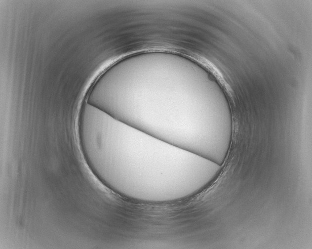 X0000116330947200912011002