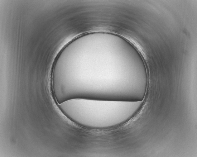 X0000116330949200912011002