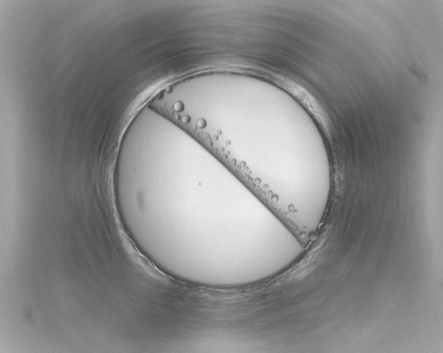 X0000116330954200912011002