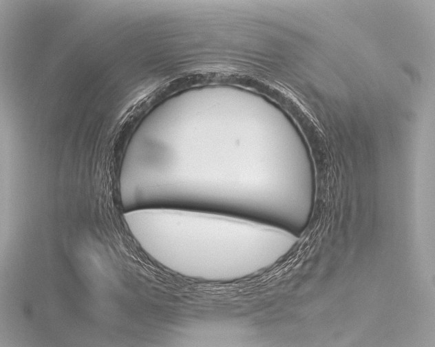 X0000116330967200912011001
