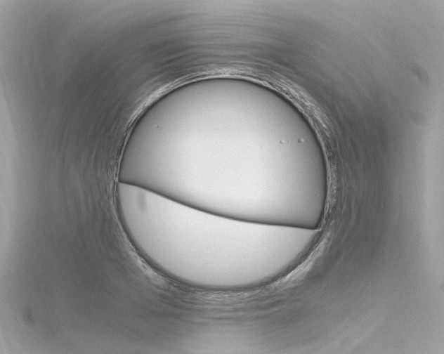 X0000116330985200912011001