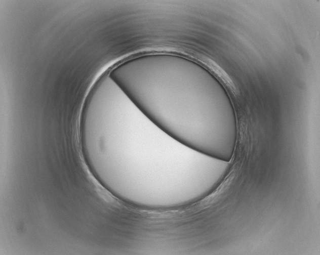 X0000116330988200912011001