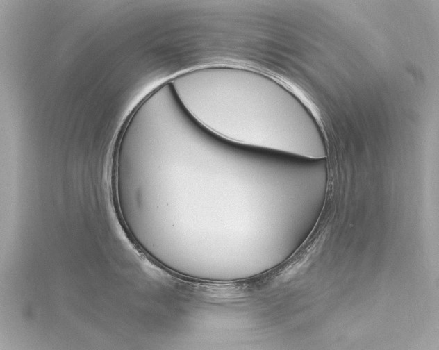 X0000116331007200912011001