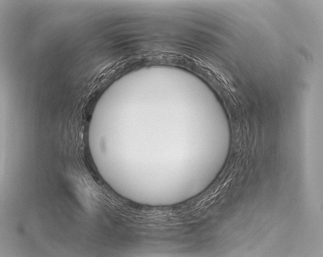 X0000116331013200912011000