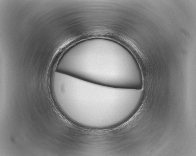 X0000116331018200912011000