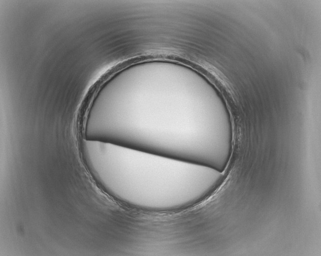 X0000116331022200912011001