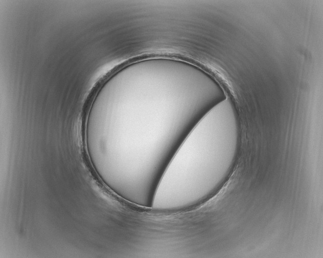 X0000116331030200912011001