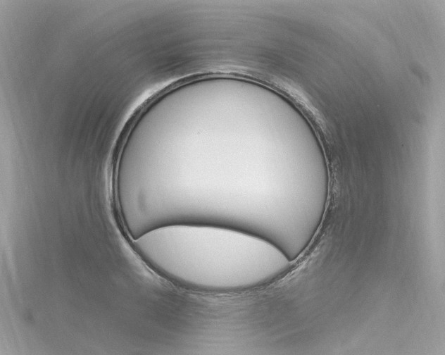 X0000116331032200912011001