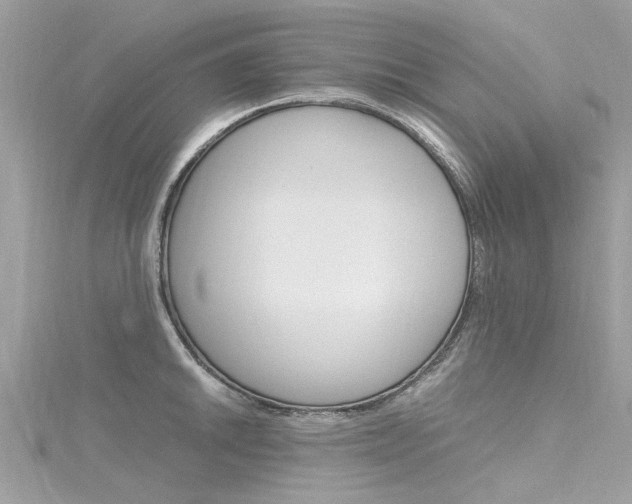 X0000116331046200912011001