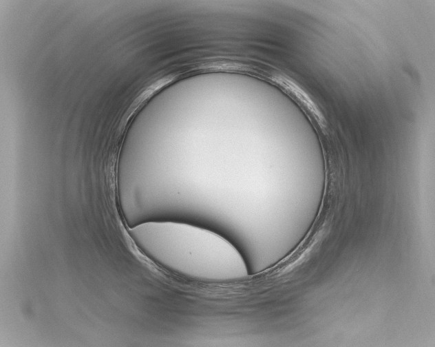 X0000116331049200912011001