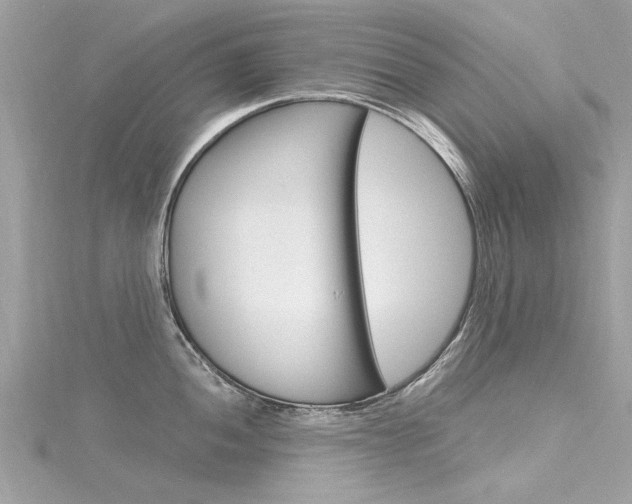 X0000116331052200912011001