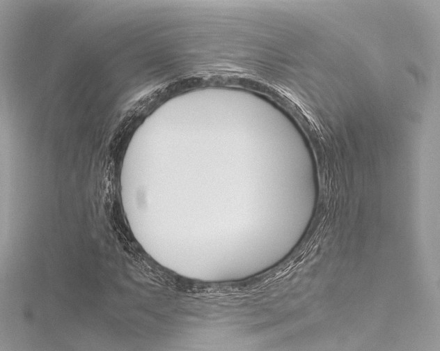X0000116331063200912011000