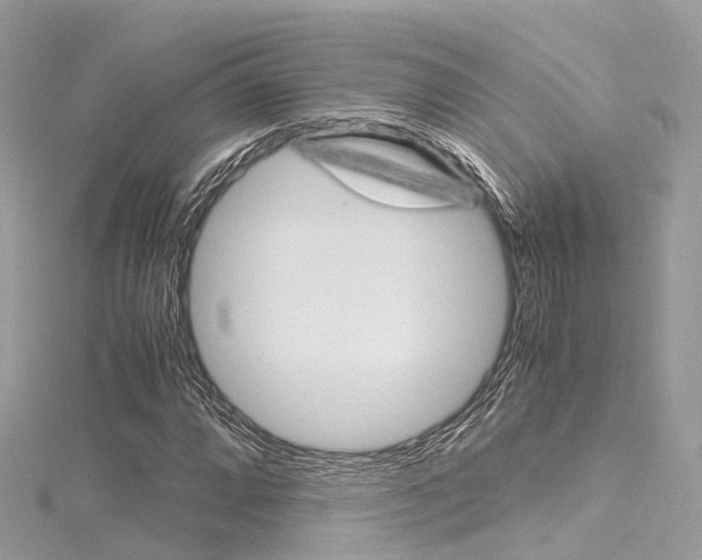 X0000116331064200912011000