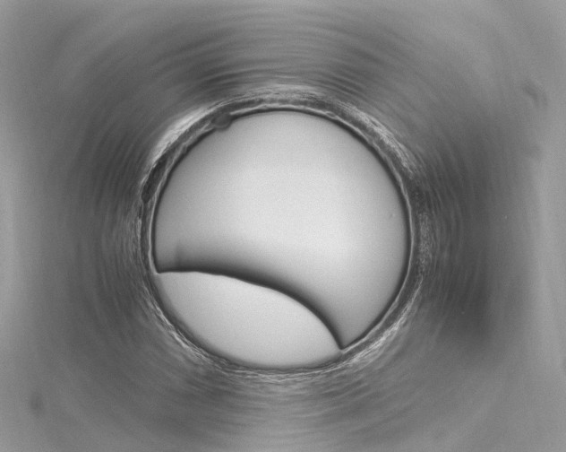 X0000116331066200912011000