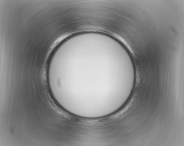 X0000116331074200912011000